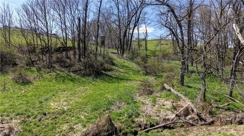 Tiny photo for Ragersville Road, Baltic, OH 43804 (MLS # 5203073)