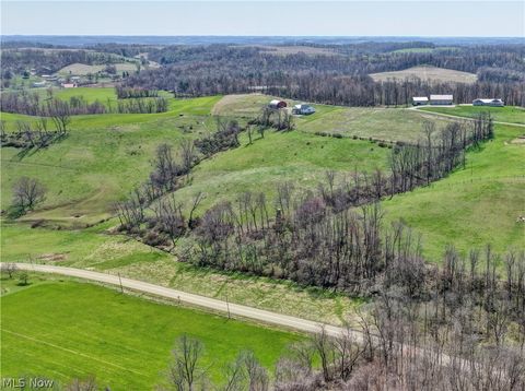 Tiny photo for Ragersville Road, Baltic, OH 43804 (MLS # 5203073)