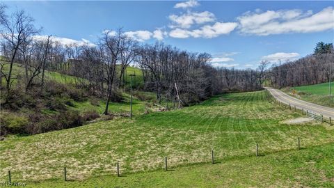 Tiny photo for Ragersville Road, Baltic, OH 43804 (MLS # 5203073)