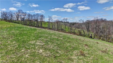 Tiny photo for Ragersville Road, Baltic, OH 43804 (MLS # 5203073)