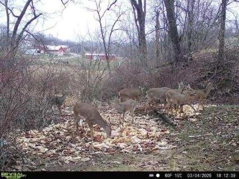 Tiny photo for Ragersville Road, Baltic, OH 43804 (MLS # 5203073)