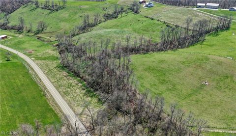 Tiny photo for Ragersville Road, Baltic, OH 43804 (MLS # 5203073)