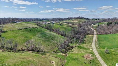 Tiny photo for Ragersville Road, Baltic, OH 43804 (MLS # 5203073)