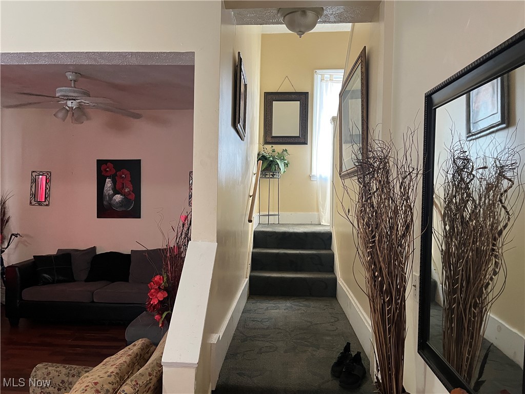 Zmichs Allotment - Residential