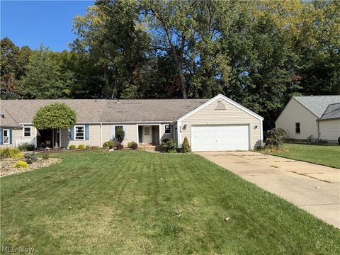 Photo of 556 Greenside Drive, Painesville Township, OH 44077 (MLS # 5203209)
