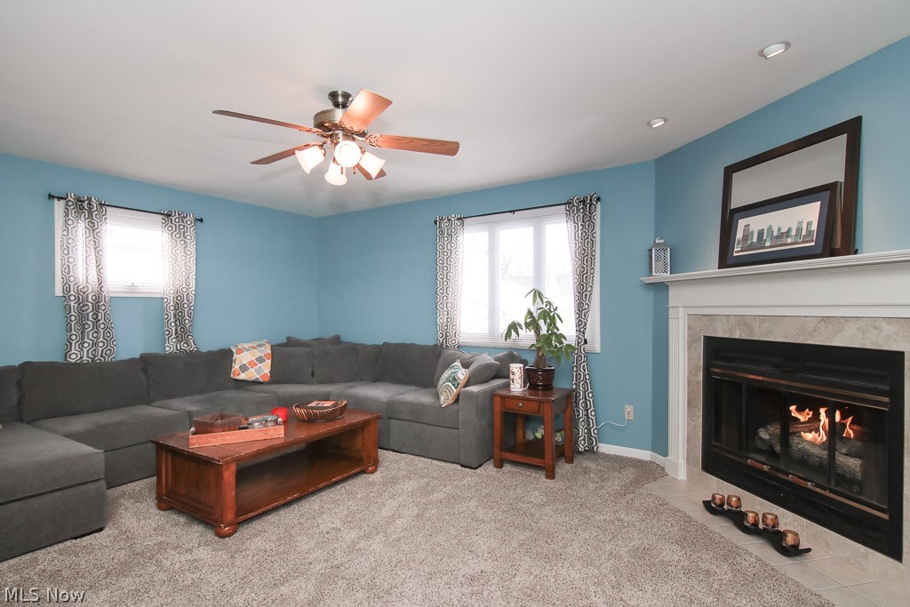 Mayfield Heights Park - Residential