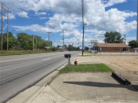 Tiny photo for 41981 N Ridge Road, Elyria, OH 44035 (MLS # 5158518)