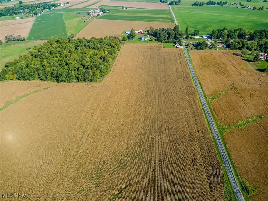 On-site absolute auction Friday, November 22nd at 11:30 AM. 3.1 Acre Building Lots with 200’ of frontage on Chippewa Road. This parcel offers flat farmland that is ideal for building your dream home with a wooded backdrop to the rear. Parcel is nearby or adjacent to this address and does not constitute a real house number.