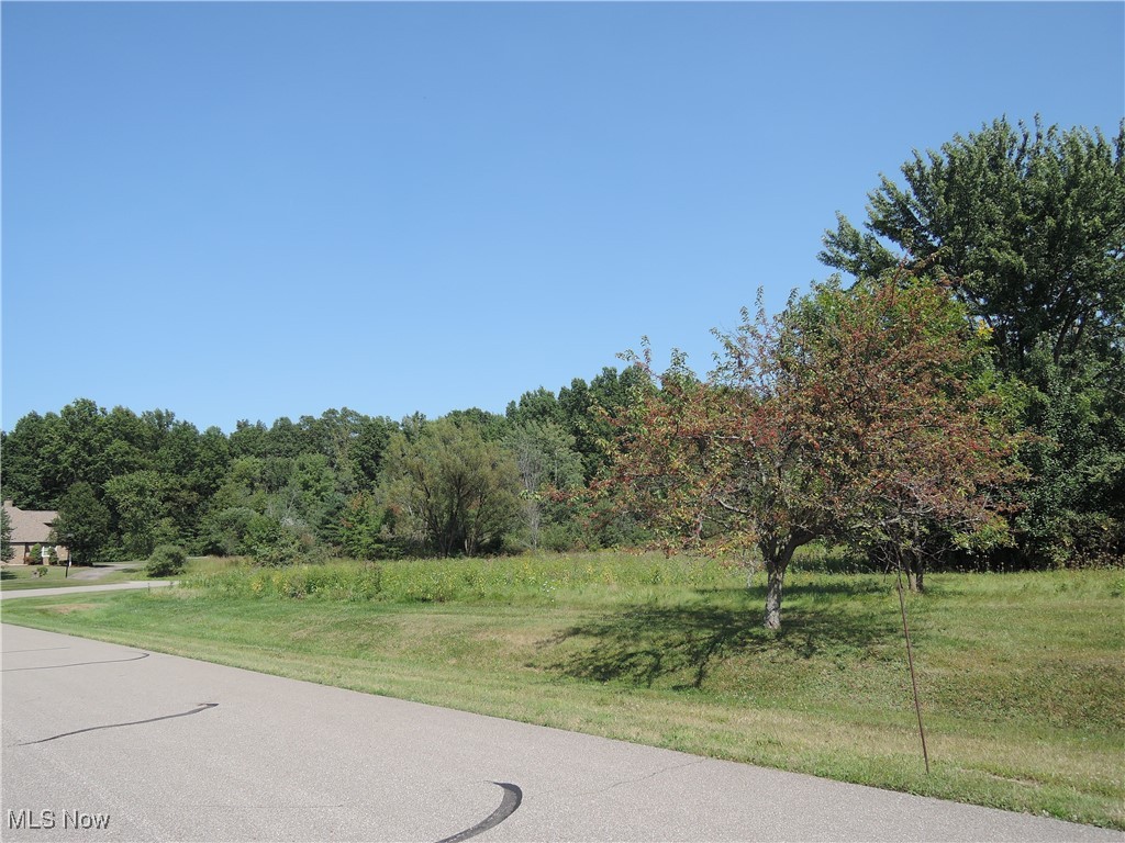 Streamside Boulevard, Vienna, Ohio image 3