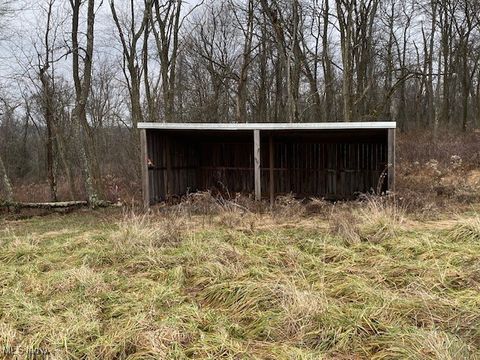 Tiny photo for 1574 Township Road 246, Toronto, OH 43964 (MLS # 5180175)