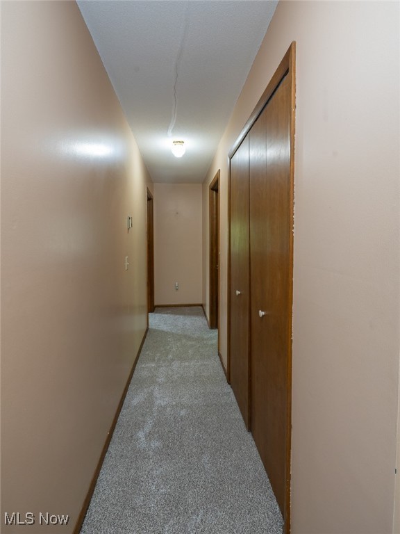 126 Burns Road, Elyria, Ohio image 29
