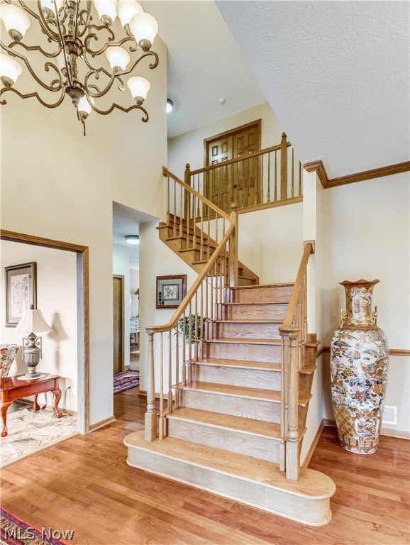 High Hampton - Residential