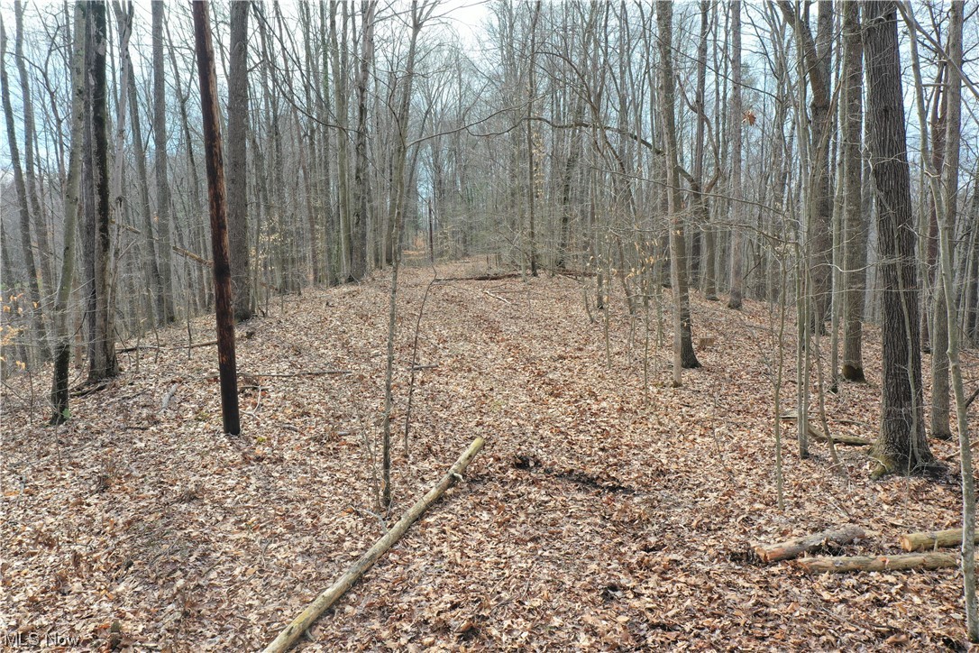 Photo 11 of 20 of 0001 Norman Ridge Road land