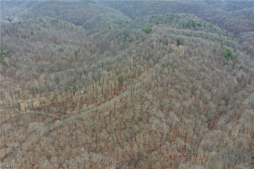 Welcome to West Virginia, where the country roads guide you to a 43.25-acre plot of land. Nestled in the heart of the mountains, this property is the perfect place for those seeking to escape the hustle and bustle of city life and get back to nature. This land offers a private setting with wooded views. There is a perfect spot for a small cabin or home, where you can wake up each morning to the sounds of nature and the beauty of the rolling hills. With some ridgetop that could be cleared for a garden or animals, you can truly make this land your own. There are 2 gates at each end of the ridgetop, making it easy to access and explore all that this property has to offer. Mostly white oak trees throughout with some pines. Property was selectively cut about 12 years ago. Perfect property for whitetail deer hunting and building that perfect camp. There is county road frontage of approximately 2,000 feet. Electric nearby and internet running through the land. Water would need to be by rain harvesting, hauling water or drilling a deep water well. Whether you are looking to be off-grid or a building site for your home, this is it!