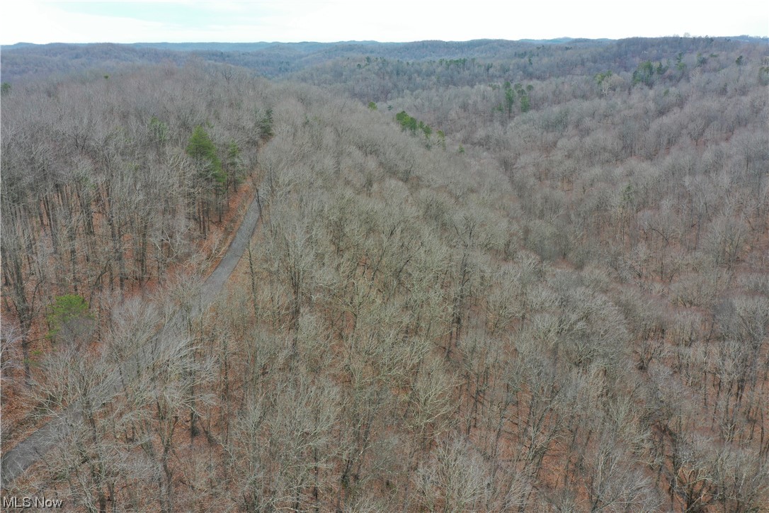 Photo 6 of 20 of 0001 Norman Ridge Road land