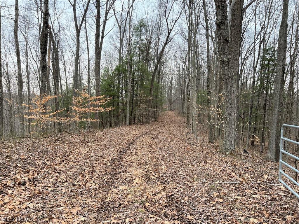 Photo 17 of 20 of 0001 Norman Ridge Road land