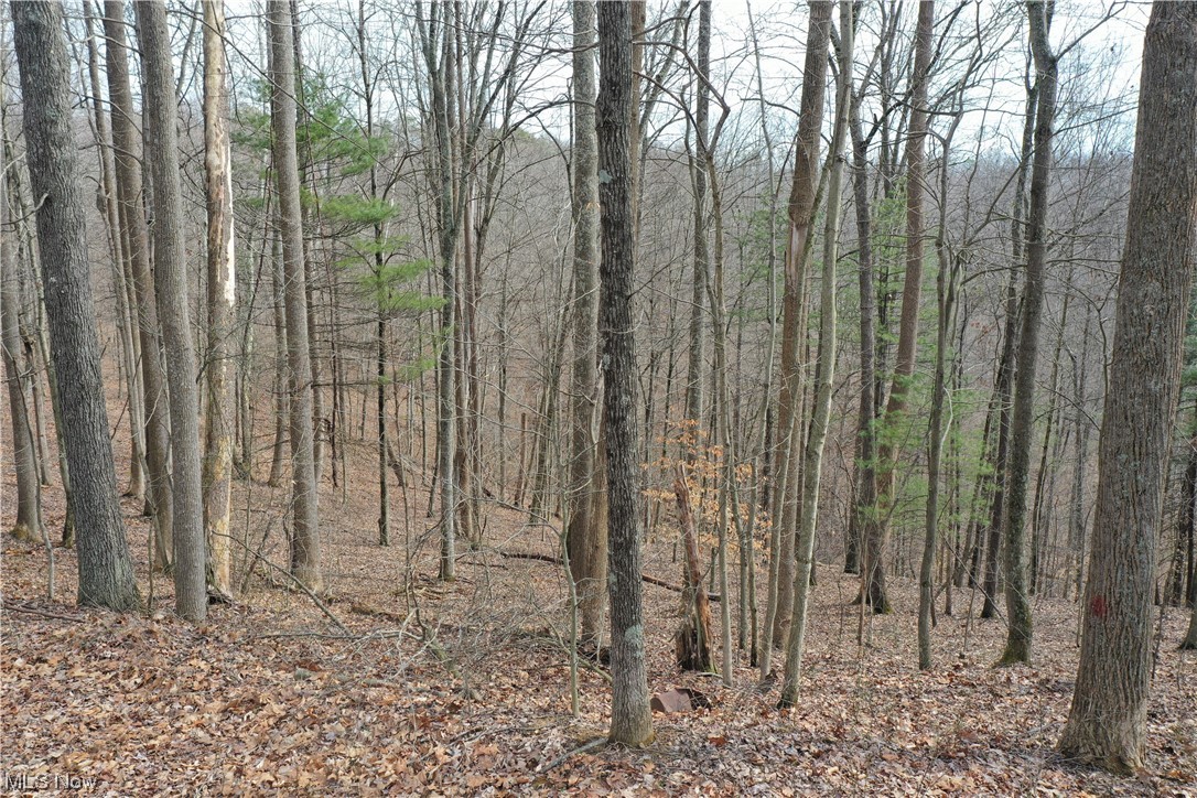 Photo 15 of 20 of 0001 Norman Ridge Road land