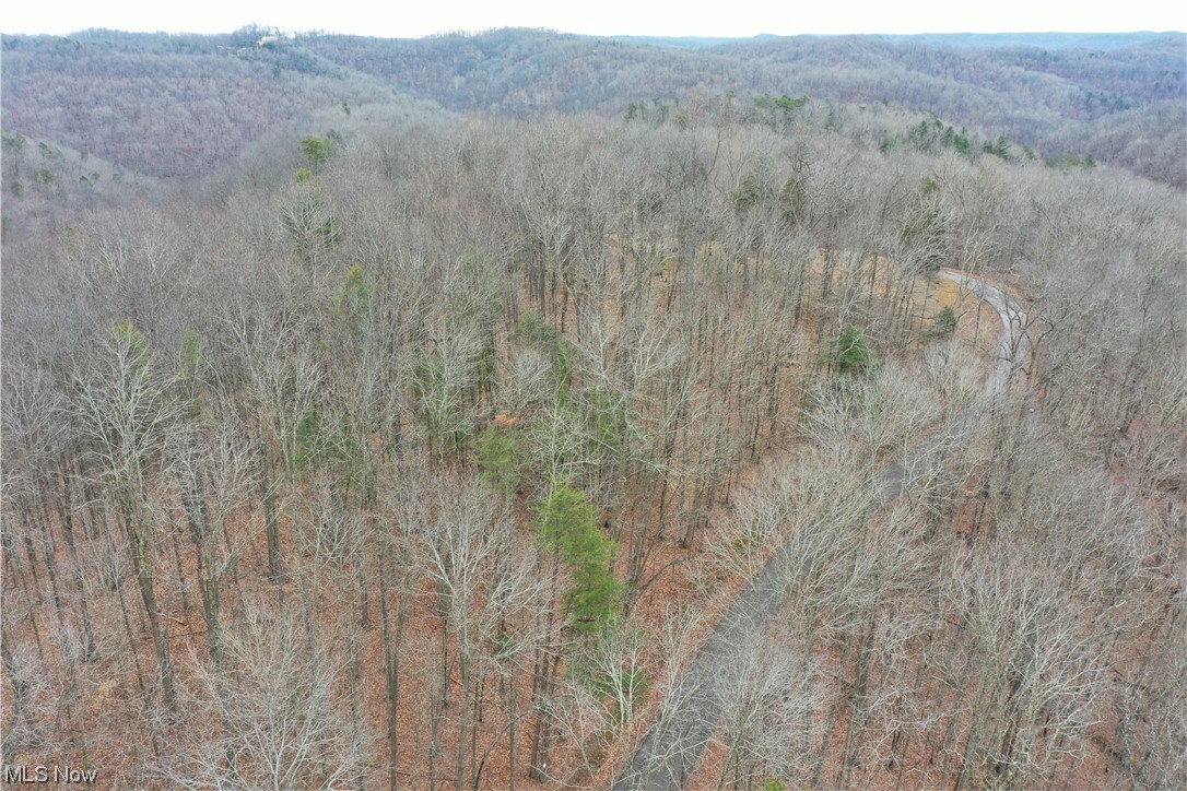 Photo 2 of 20 of 0001 Norman Ridge Road land