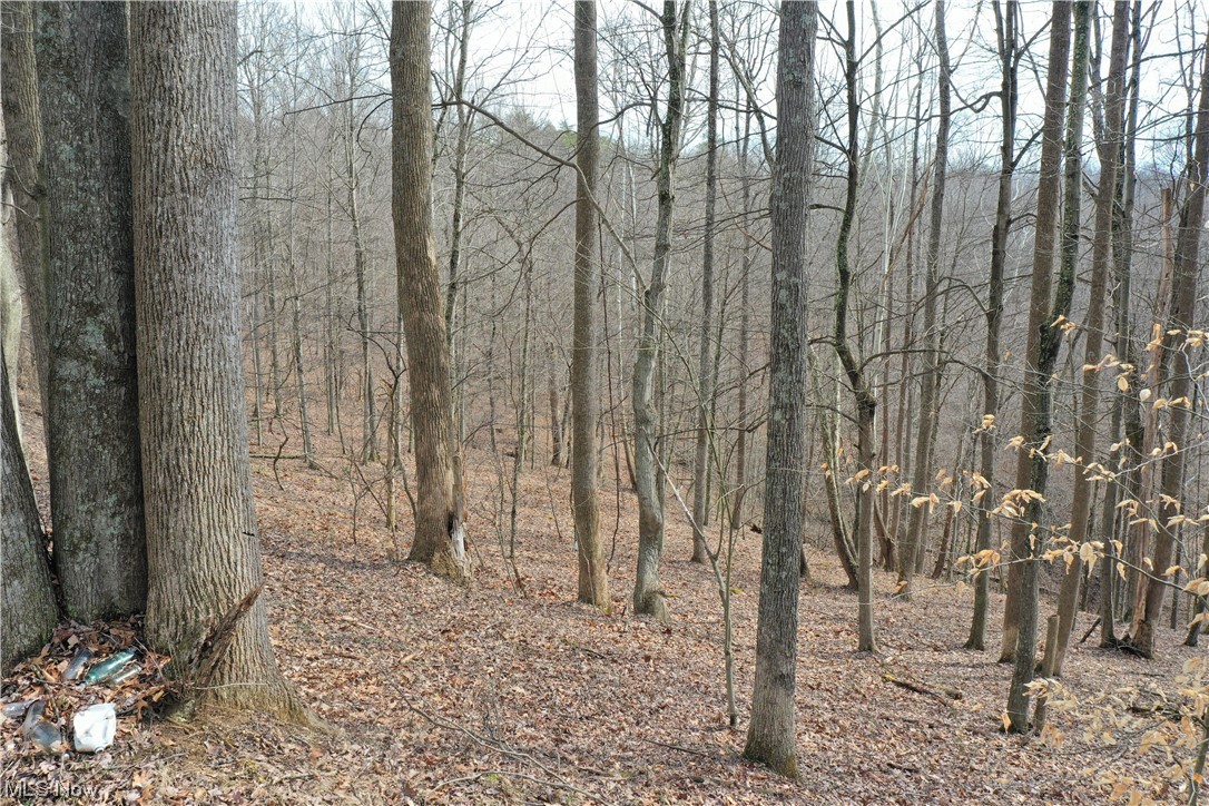 Photo 13 of 20 of 0001 Norman Ridge Road land