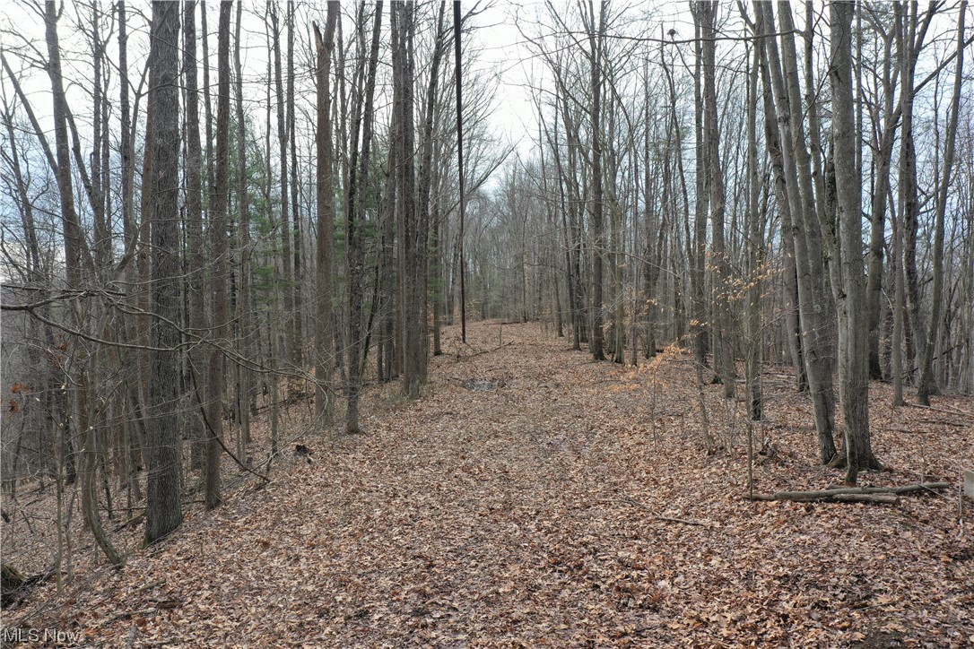 Photo 10 of 20 of 0001 Norman Ridge Road land