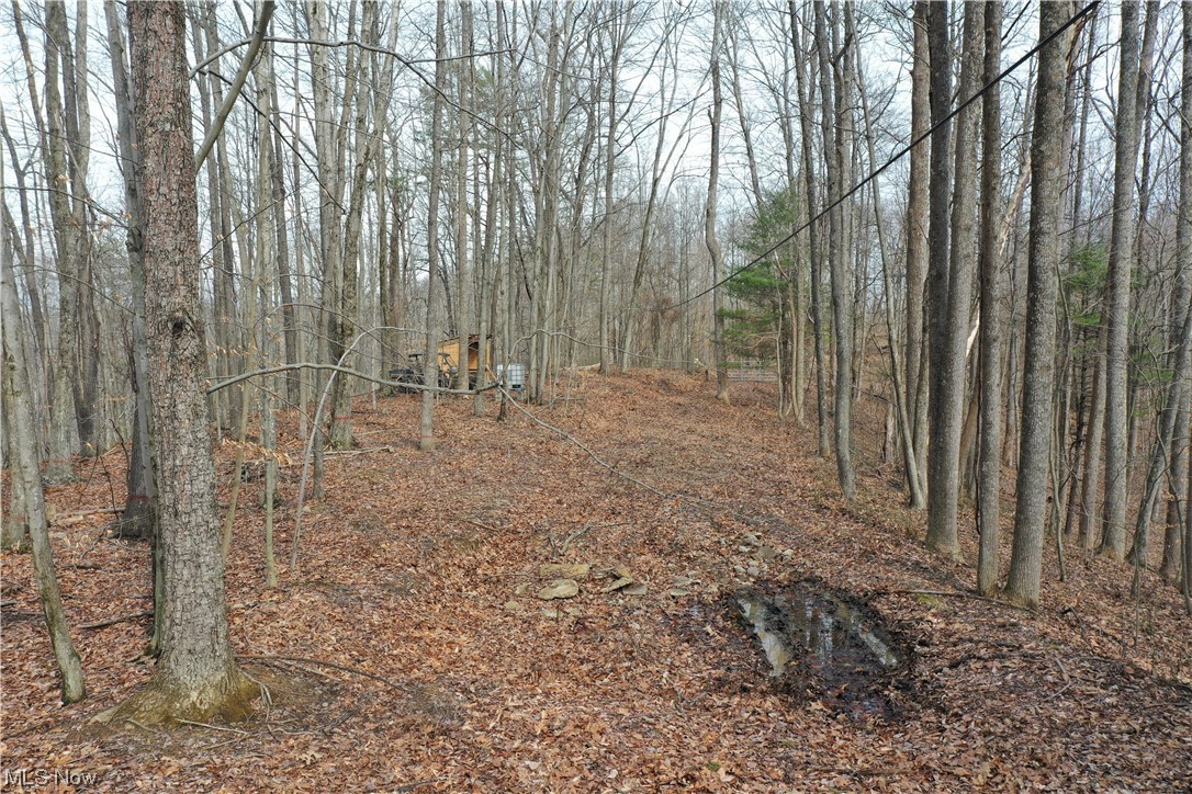 Photo 9 of 20 of 0001 Norman Ridge Road land