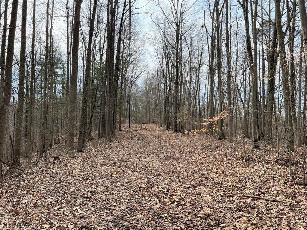 Photo 18 of 20 of 0001 Norman Ridge Road land