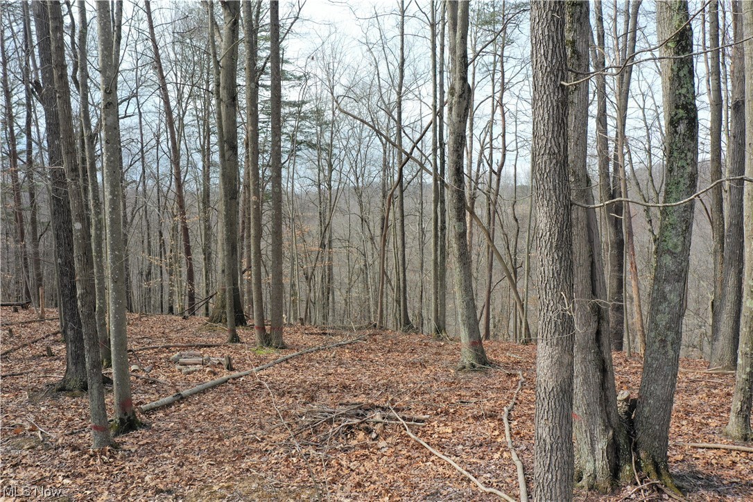 Photo 12 of 20 of 0001 Norman Ridge Road land