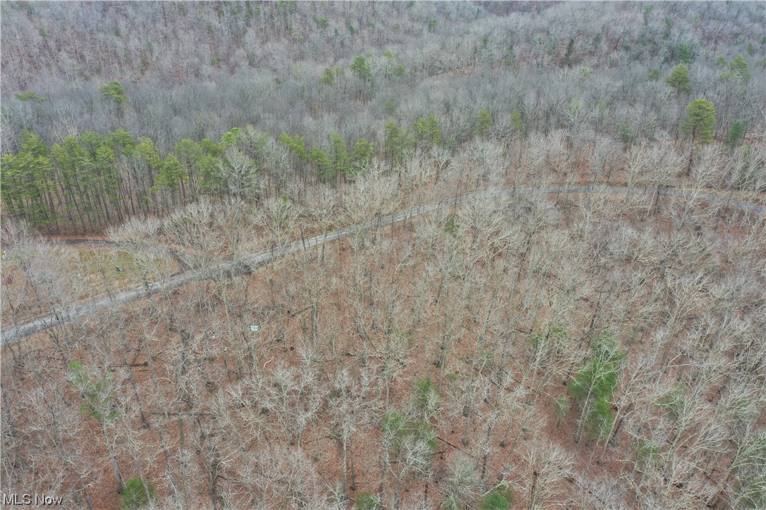 Photo 5 of 20 of 0001 Norman Ridge Road land