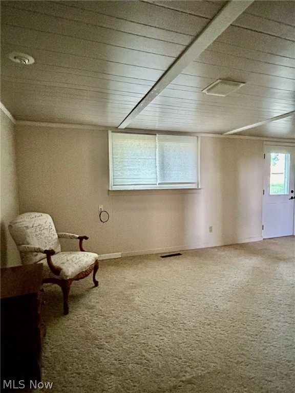 Rittman - Residential