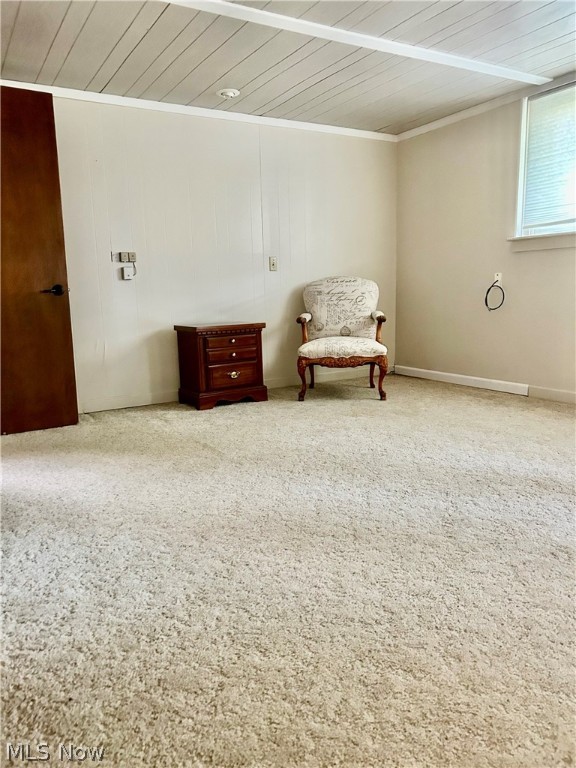 Rittman - Residential