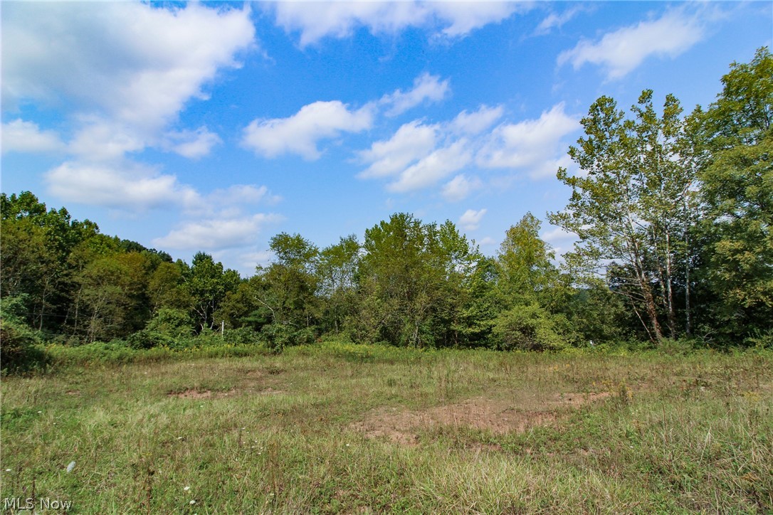45.69 Acres in Monroe County. Mostly wooded recreational tract. Nice level home or cabin sites. Electric at road. Little Muskingum River flows through this property. Areas for food plots for deer and other wildlife. Borders Wayne National Forest on two sides. Good mix of thicker cover and more open woods. Steep topography. Mineral rights do not transfer and annual taxes are approximately $901.02.