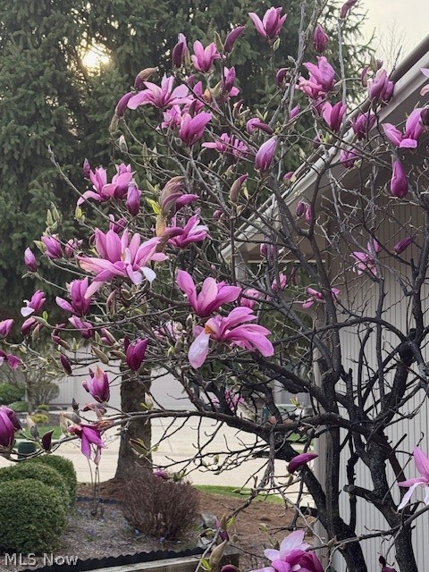 Olympia - Residential