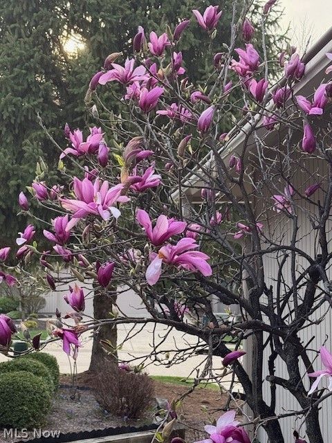 Tiny photo for 13081 Olympus Way, Strongsville, OH 44149 (MLS # 5202637)