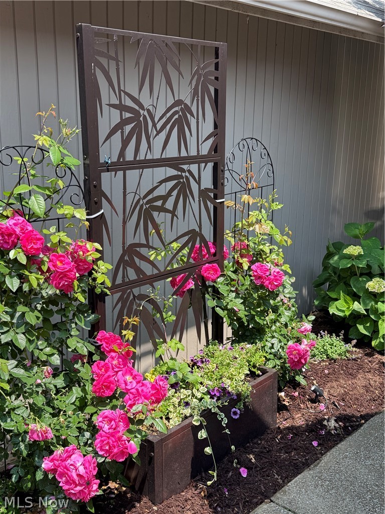 Olympia - Residential