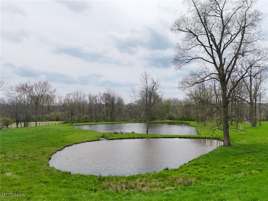 16231 Burton Windsor Road, Middlefield, Ohio image 20