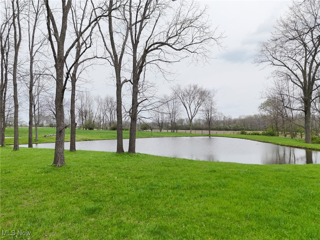 16231 Burton Windsor Road, Middlefield, Ohio image 18