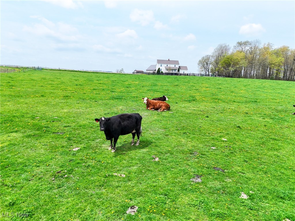 16231 Burton Windsor Road, Middlefield, Ohio image 29