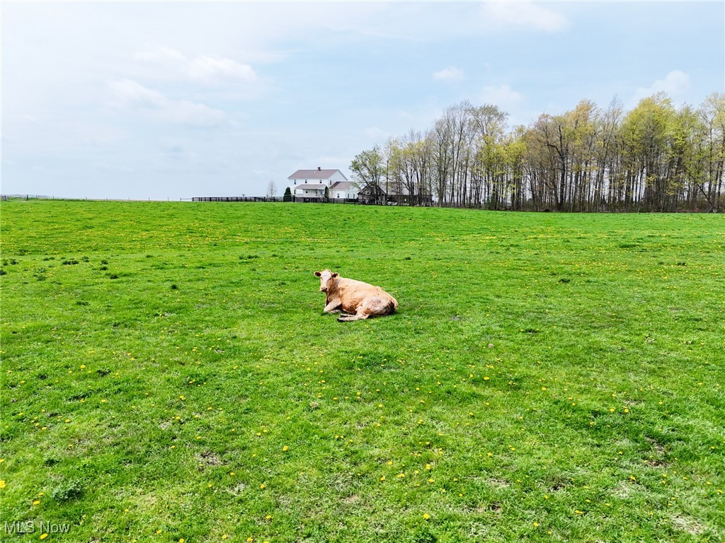 16231 Burton Windsor Road, Middlefield, Ohio image 33