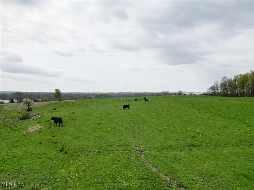 16231 Burton Windsor Road, Middlefield, Ohio image 3