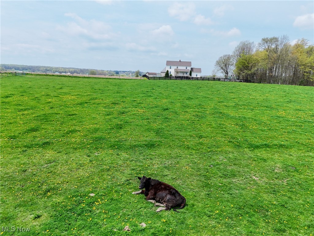 16231 Burton Windsor Road, Middlefield, Ohio image 30
