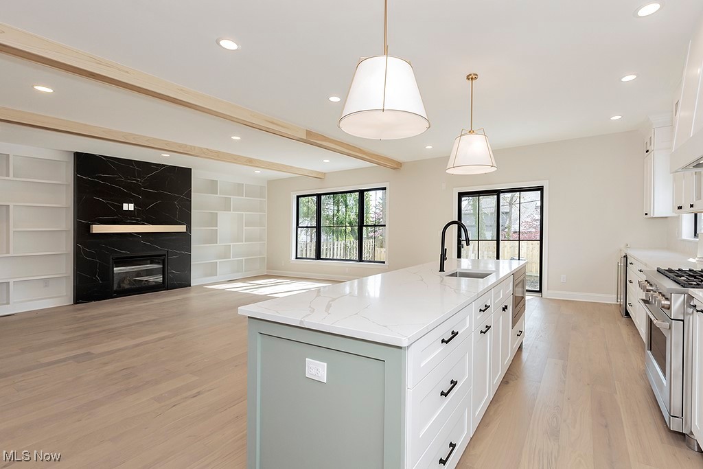 Lake Erie Pk/S F Kleinmans - Residential