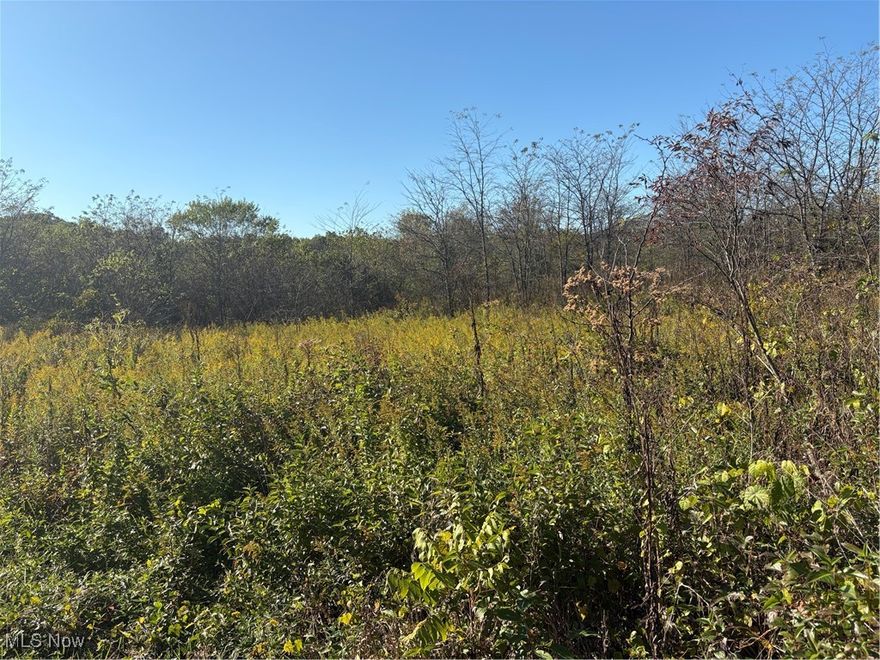 20 Acres in East Muskingum Schools. Public water is available, buyer responsible for tap fee. Please have agent with anyone walking property.