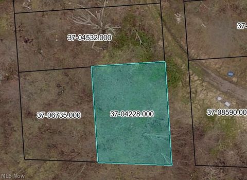 Vacant Land For Sale - Lawton Street<br/> Columbiana County, East Liverpool, OH 43920