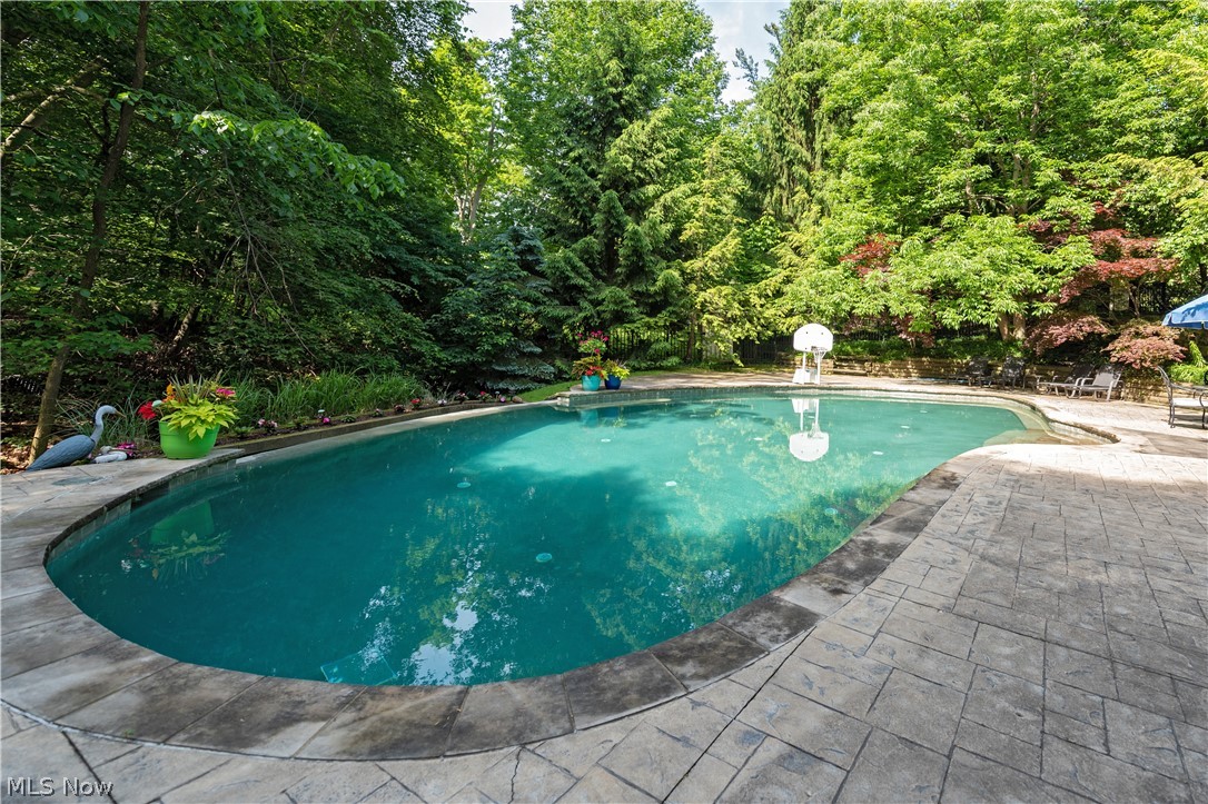 Frisbie So Euc - Residential