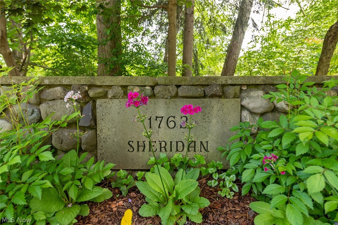 Frisbie So Euc - Residential