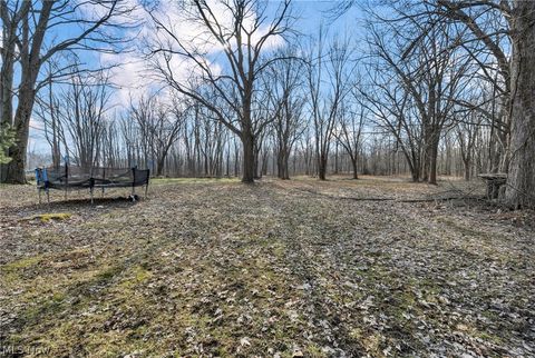 Tiny photo for 54 Park Road, Painesville, OH 44077 (MLS # 5189705)