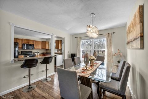 Tiny photo for 54 Park Road, Painesville, OH 44077 (MLS # 5189705)