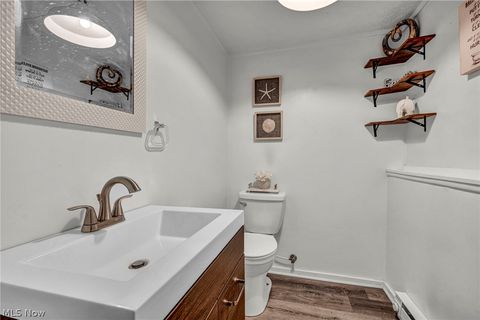 Tiny photo for 54 Park Road, Painesville, OH 44077 (MLS # 5189705)