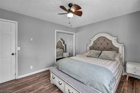 Tiny photo for 54 Park Road, Painesville, OH 44077 (MLS # 5189705)