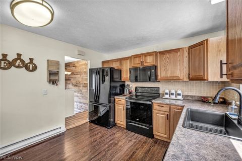 Tiny photo for 54 Park Road, Painesville, OH 44077 (MLS # 5189705)